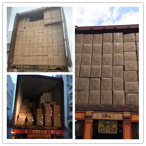Rolling Blind Door Part/Roller Shutter Accessories, Security Hanger