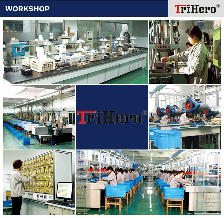 Dh48s-S 0.1s-99 DC12V 24V AC110V 220V Achour Digital Display Twin Timer Time Delay Relay